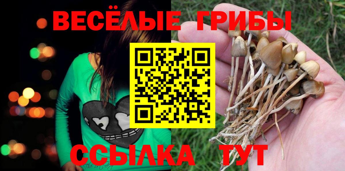 Псилоцибиновые грибы мухоморы  Вход с VPN  Коряжма  Галлюциногенные грибы Psilocybine cubensis 