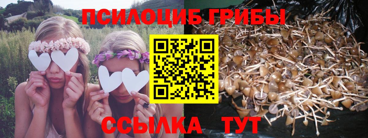 Галлюциногенные грибы ЛСД Коряжма